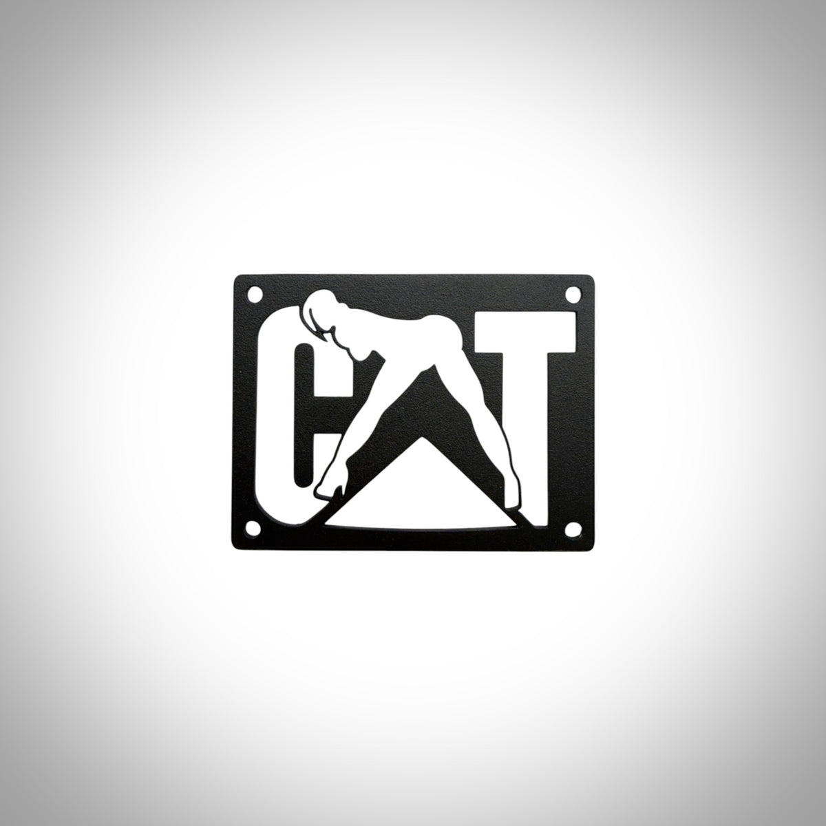 Warning Label Replacement Plates